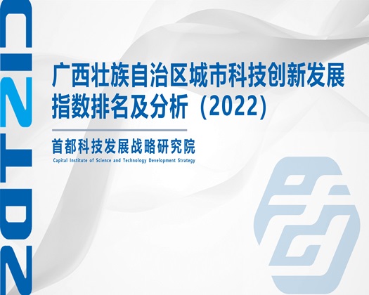 草逼网首页【成果发布】广西壮族自治区城市科技创新发展指数排名及分析（2022）